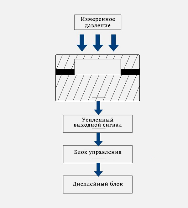 031725327713188182.png 俄語.png